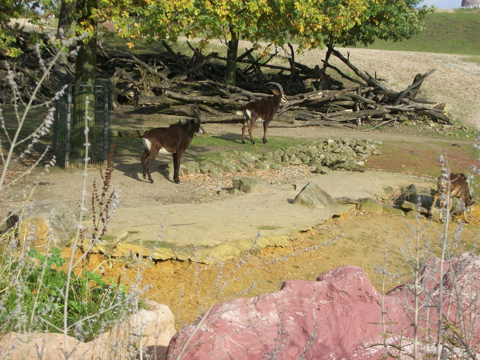 Zoom 18.10.2008-075.jpg